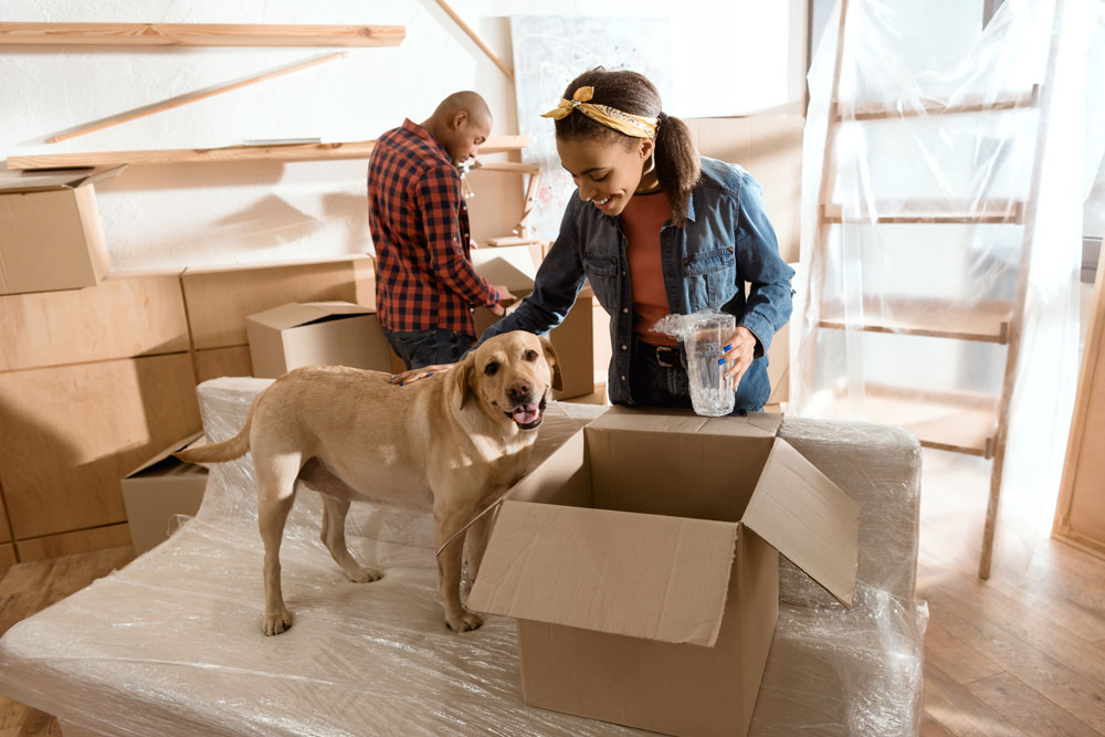 33. 3 Arbourvale Common - 41 Couple moving into new home with dog