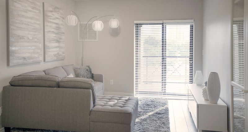 pine mansion 3 interior living room with window