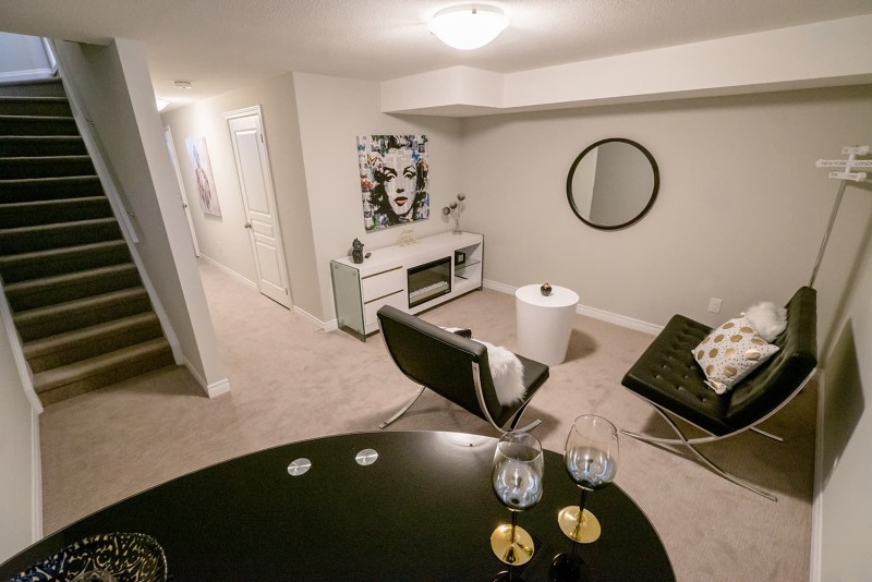 Basement Living Room