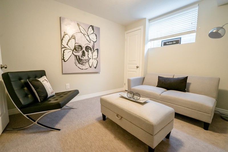 Basement Living Room